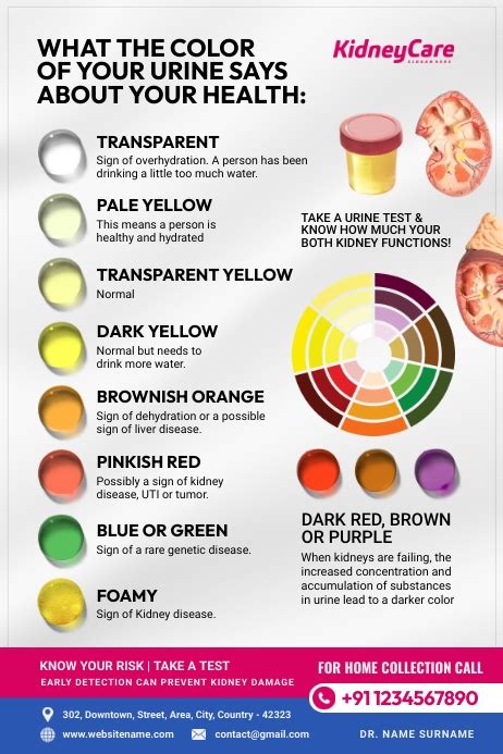 Urine color chart: Healthy colors and when to seek help